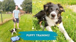 PUPPY VLOG!  Training a Border Collie Puppy!