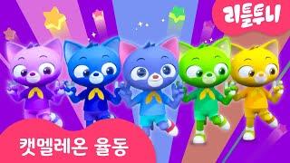 캣멜레온 고양이 3D 율동 동요 | 함께 따라해요! | 어린이 동요 | 리틀투니 | 신비아파트노래 | kids song