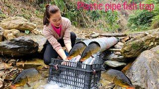 Simple way to trap fish with PVC pipe. Surprisingly effective. | Ana fishing
