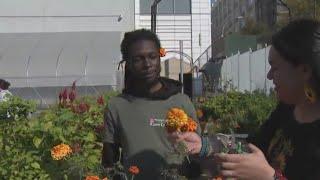 Farm on NYC college campus offers agriculture education