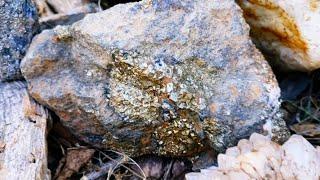 Encontramos mina de oro en el cerro mientras buscábamos gemas.