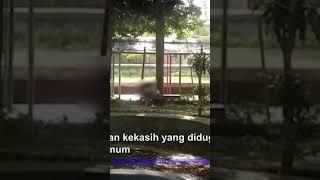 Viral, Aksi Dua Pasang Kekasih Mesum di Taman Firdaus Pinrang #Short #viral #sindonews