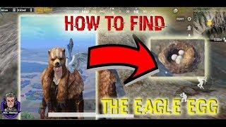 HOW TO GET COMPANION IN PUBG MOBILE S7!!! |SECRET LOCATION OF EAGLE.