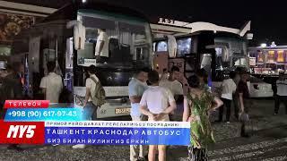 краснодар ташкент автобус. krasnodar Tashkent avtobus #krasnodar #tashkent #avtobus #краснодар