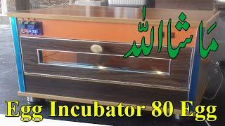 How to make an Egg Incubator At Home || How To Make Egg Incubator At Home Easy|| Incubator Making