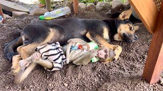 Super cute - Bibi hugs the black dog and sleeps together