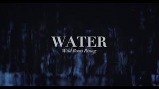 Wild Roots Rising - Water [Official Music Video]
