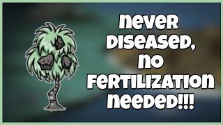 The Stone Fruit Bush Can Be Disease and Fertilizer Free - Don't Starve Together Guide