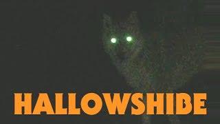 Hallowshibe