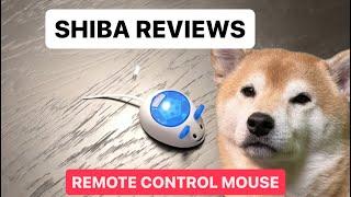 I Tried Giving My Shiba a Cat Toy