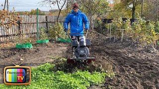 Перекапывать сидераты осень или нет - я для себя давно нашёл ответ как правильно всё сделать