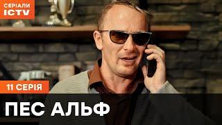 Пес Альф 1 сезон 11 серия | ДЕТЕКТИВЫ | СЕРИАЛ ICTV| КОМЕДИИ