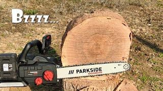 In Action - Parkside Performance PPKSA 40-Li A1 40V Chainsaw vs Parkside PKSA 40-Li A1 40V Chainsaw