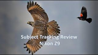 Subject Tracking Review : Nikon Z9