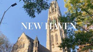 VLOG | Yale Diaries EP01: Yale Campus Tour, Yale School of Management, Studying, New Haven