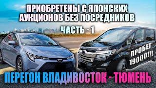 Honda Stepwgn и Toyota Corolla перегон Владивосток - Тюмень. Часть 1. Покупка без услуг посредников.