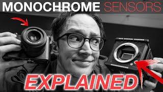 EXPLAINED: Monochrome Sensors (Leica Q2 + Red Komodo 6K)