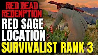 All 4/4 Red Sage Gaptooth Ridge Locations | Red Dead Redemption Survivalist Rank 3