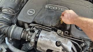 Opel 1.6 CDTI engine - is this oil level OK?