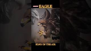 Eagle falke ястреб hauk #wildlife #wildanimal #animals #eagle #viralshorts #yutubeshorts #wildeagle