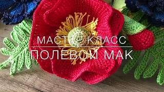  мастер класс  полевой  мак тунисское вязание Crochet flower pattern