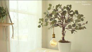 Vlog Making lamps with Daiso eucalyptus | Creating a Simple Atmospheric Bedroom