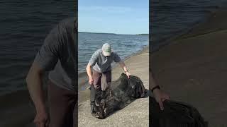 Клюет ли на Вилейке летом? Что поймал?