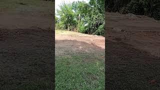 4438182822
