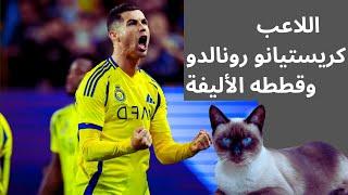 قطط بطل العالم - اللاعب البرتغالي كريستيانو رونالدو