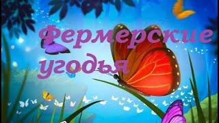 Фермерские угодья. клондайк. 1-я часть.