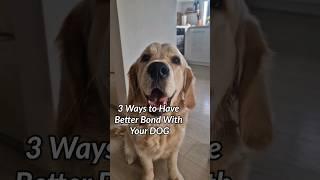 How to Create an Unbreakable Bond with Your Dog in 3 Simple Steps - #goldenretriever #dog