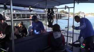 Sunreef Whale Watching and Swimming with the Whales Mooloolaba Sunshine Coast Queensland Australia