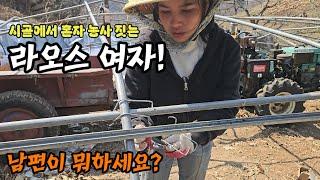 라오스 여자는 폭설로 내려 앉은 비닐하우스 철거! 한국 남편의 계곡물 끌어 오는 방법?[국제커플 국제부부]