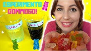 ESPERIMENTO CON GLI ORSETTI GOMMOSI! *gummy bear experiment osmosis*