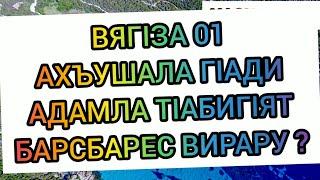 ВЯГIЗА 01 АХЪУШАЛА ГIАДИ АДАМЛА ТIАБИГIЯТ БАРСБАРЕС ВИРАРУ ?