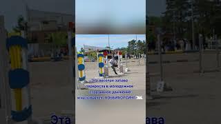 Что такое хоббихорсинг? Видео из Санкт-Петербурга.