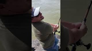 Big Rods, Big Fish! #fishing #fish #bigfish #outdoors #sturgeon #uglystik #pennreels #madkatz