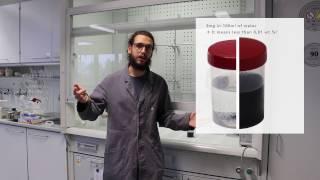 Carbon Nanotubes in the Lab