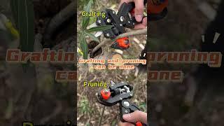 SUCA SC-8203 garden grafting tools Multifunctional Seedling  grafting tools scissors knife