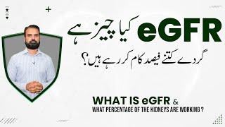 eGFR Kaya Hota Hai | What is eGFR? | eGFR Test for Kidney Function in Urdu