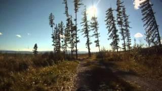 Horská cyklistika, Vysoké Tatry