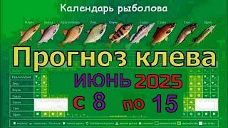Когда лучше клюет рыба на этой неделе?  с 8 июня по 15 Июня 2025
