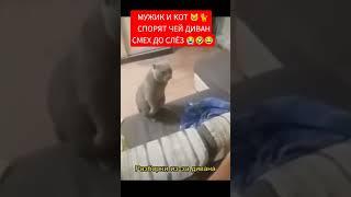 САМЫЙ НЕДОВОЛЬНЫЙ   В МИРЕ#прикол #мем#cats