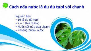 Cách nấu LÁ ĐU ĐỦ, nên uống tươi hay phơi khô?