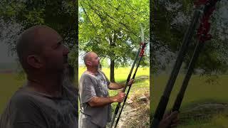 14ft Walensee Pole Saw for Yard Work #yard #summergames