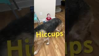 #baby #cutebaby #dog #cutedog #dogshorts #shorts #short #shortvideo #viral #trending #subscribe