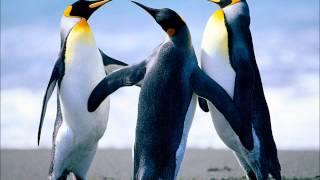 Three Graces on the ice