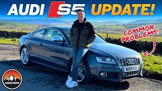 Before You Buy an Audi S5 – Here’s What You NEED to Know!