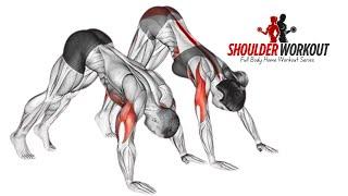 10 Powerful Exercises for Shoulder Workout at Home