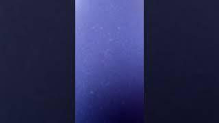 Gy